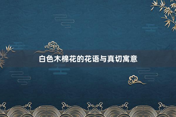 白色木棉花的花语与真切寓意